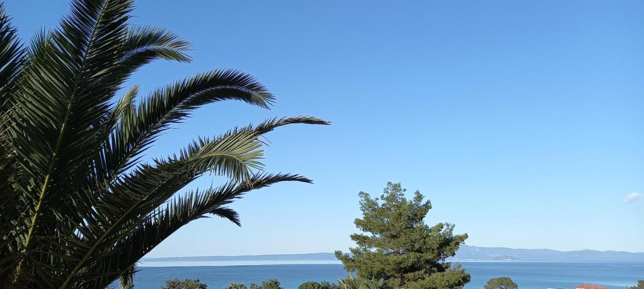 Seaside View Villa Hanioti Bagian luar foto