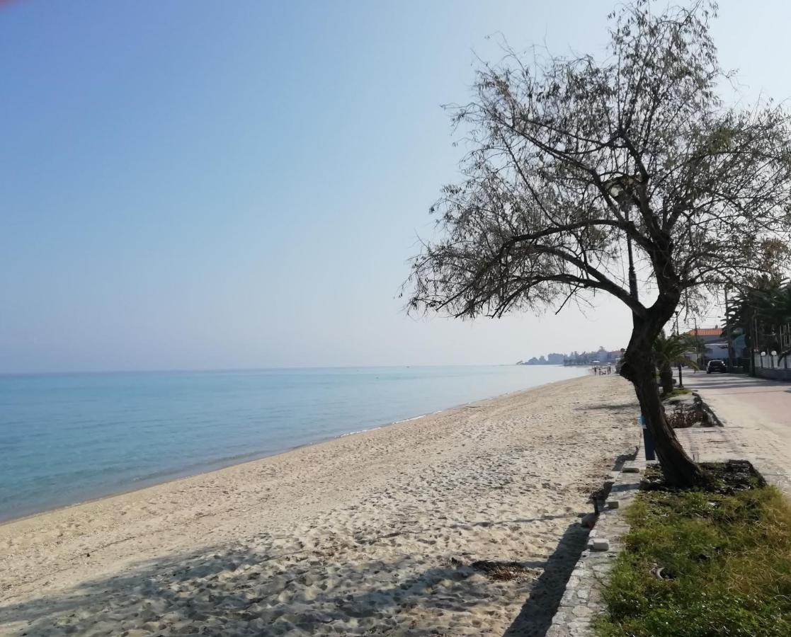 Seaside View Villa Hanioti Bagian luar foto